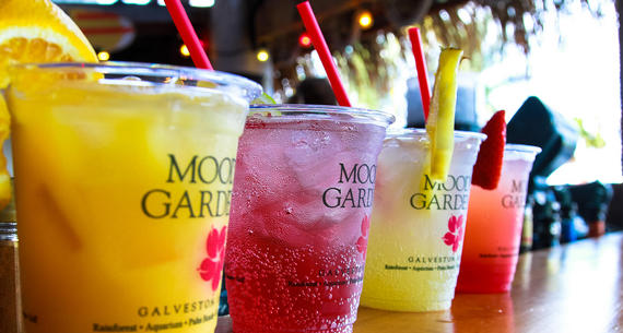 Moody Gardens Beverages at the Shoreline Cafe